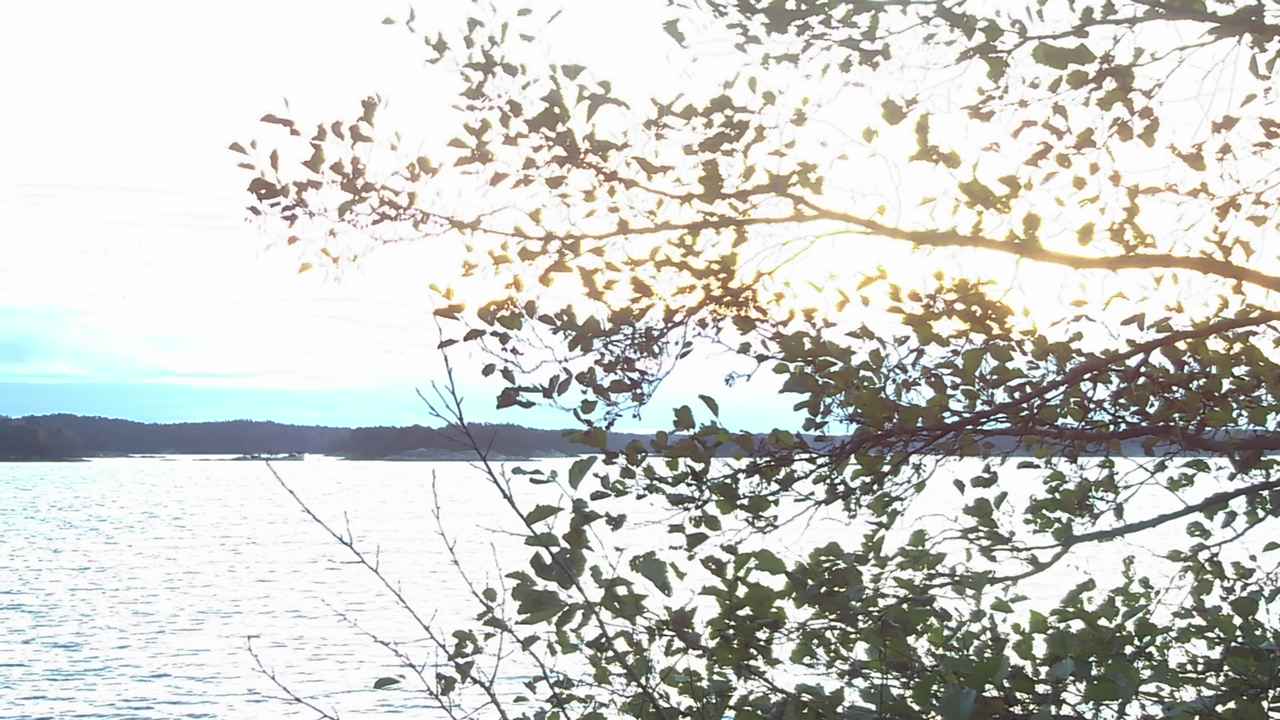 Kelikamerat Kuva Tie 180 Prostvik, Parainen, Varsinais-Suomi