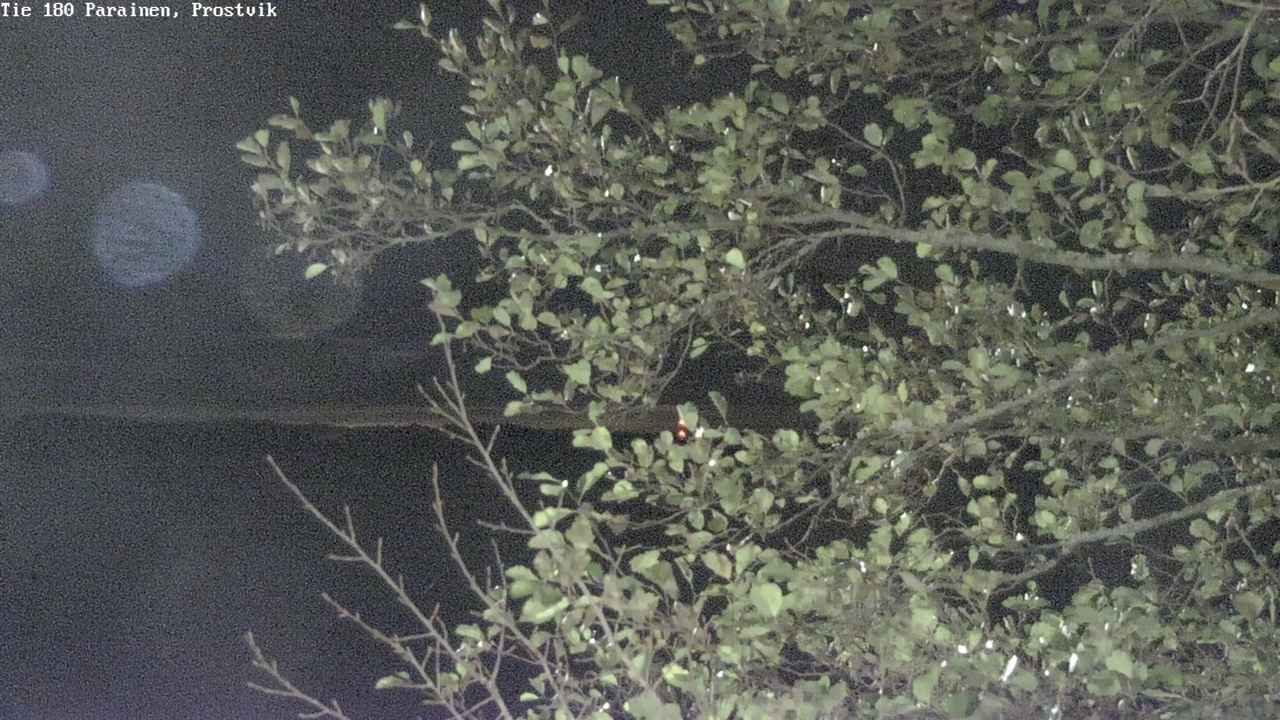 Kelikamerat Kuva Tie 180 Prostvik, Parainen, Varsinais-Suomi