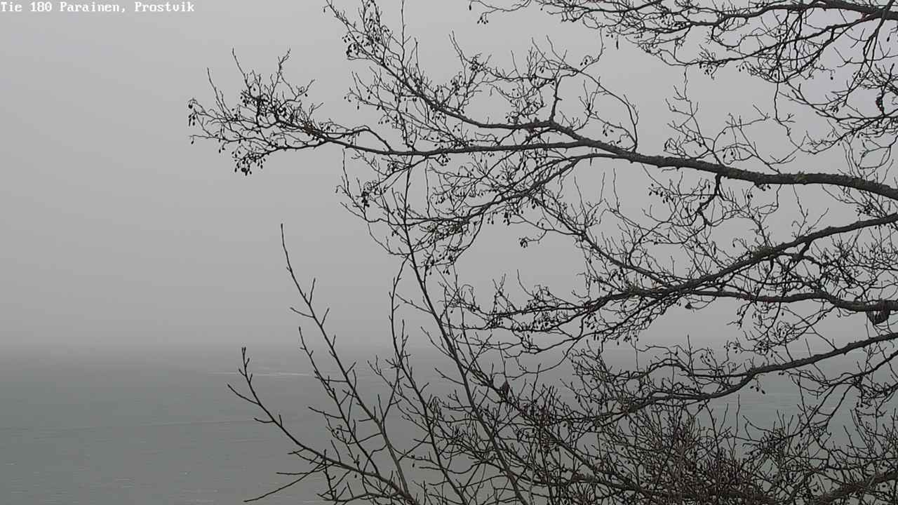Kelikamerat Kuva Tie 180 Prostvik, Parainen, Varsinais-Suomi