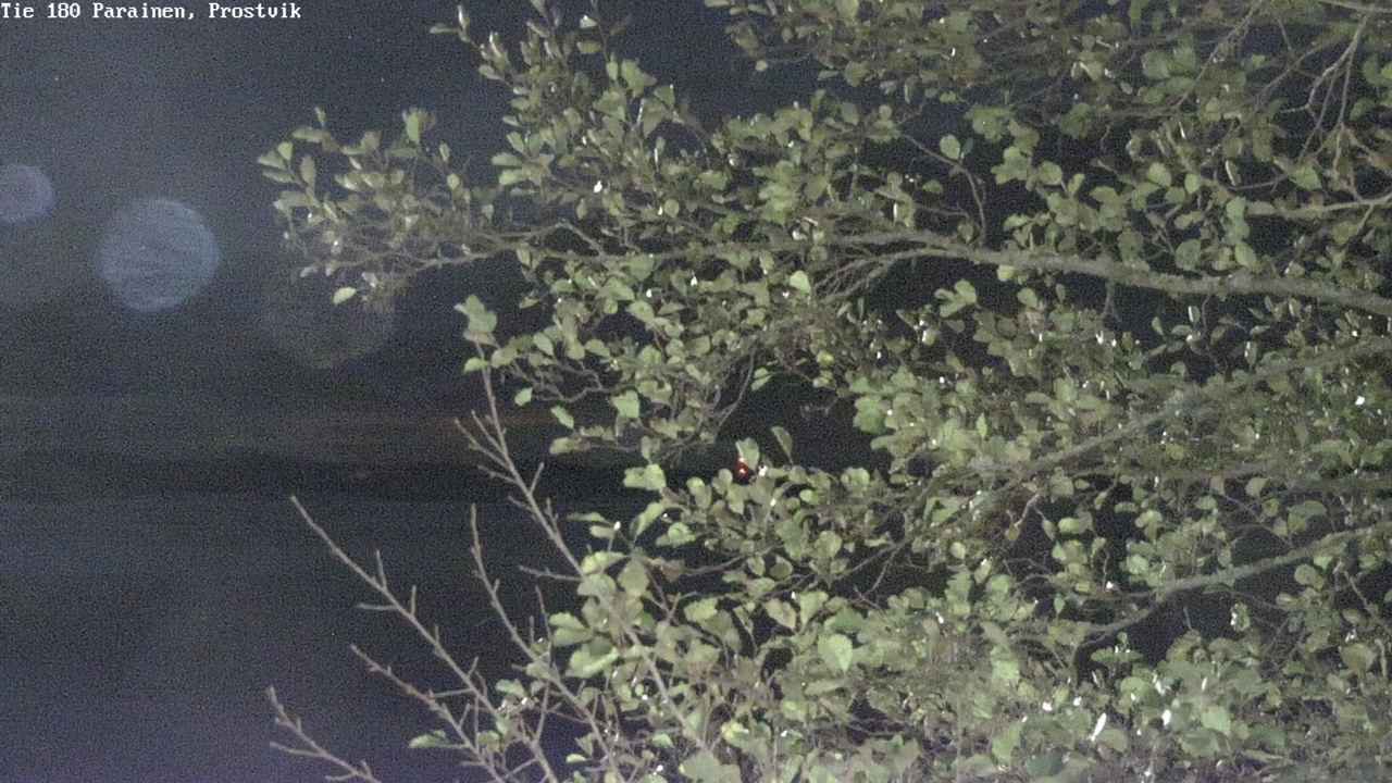 Kelikamerat Kuva Tie 180 Prostvik, Parainen, Varsinais-Suomi