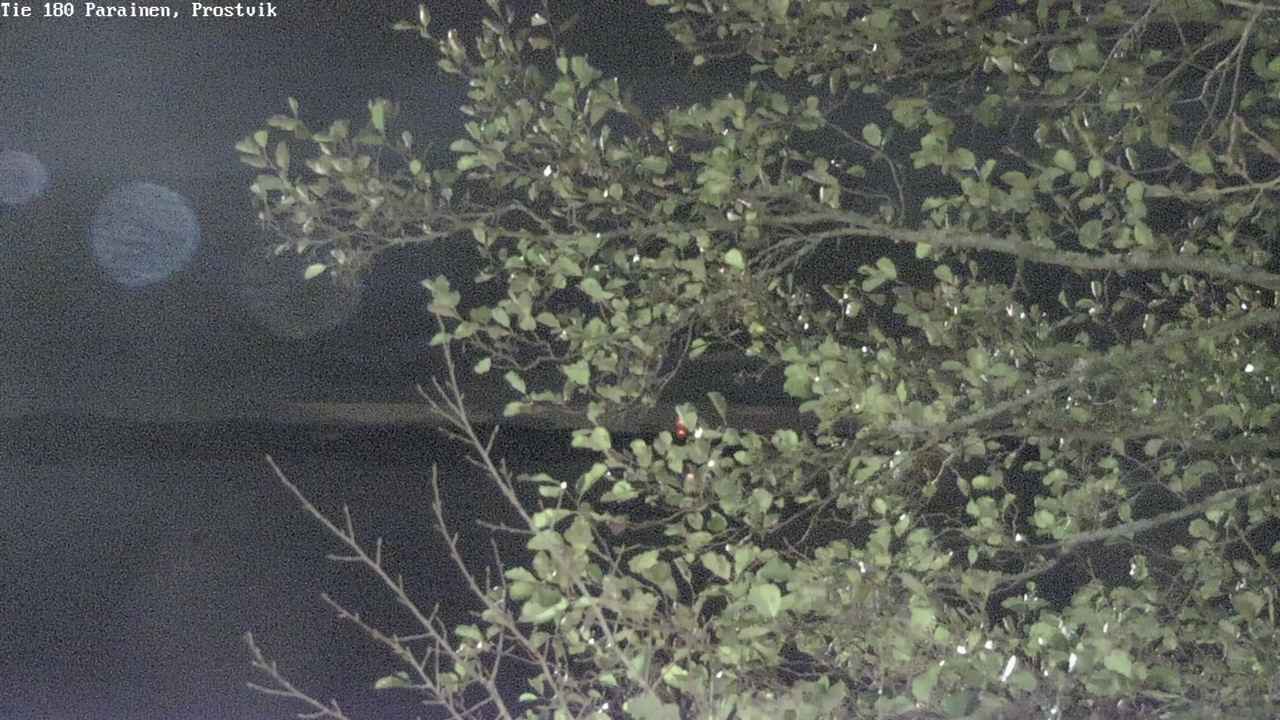Kelikamerat Kuva Tie 180 Prostvik, Parainen, Varsinais-Suomi