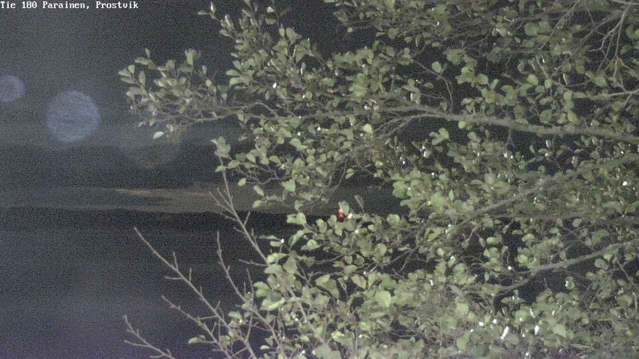 Kelikamerat Kuva Tie 180 Prostvik, Parainen, Varsinais-Suomi