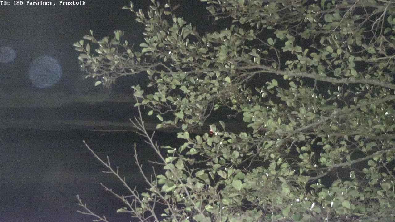 Kelikamerat Kuva Tie 180 Prostvik, Parainen, Varsinais-Suomi