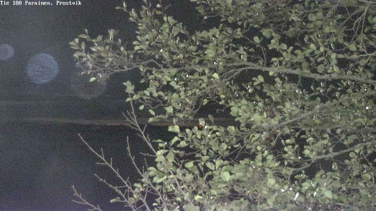 Kelikamerat Kuva Tie 180 Prostvik, Parainen, Varsinais-Suomi