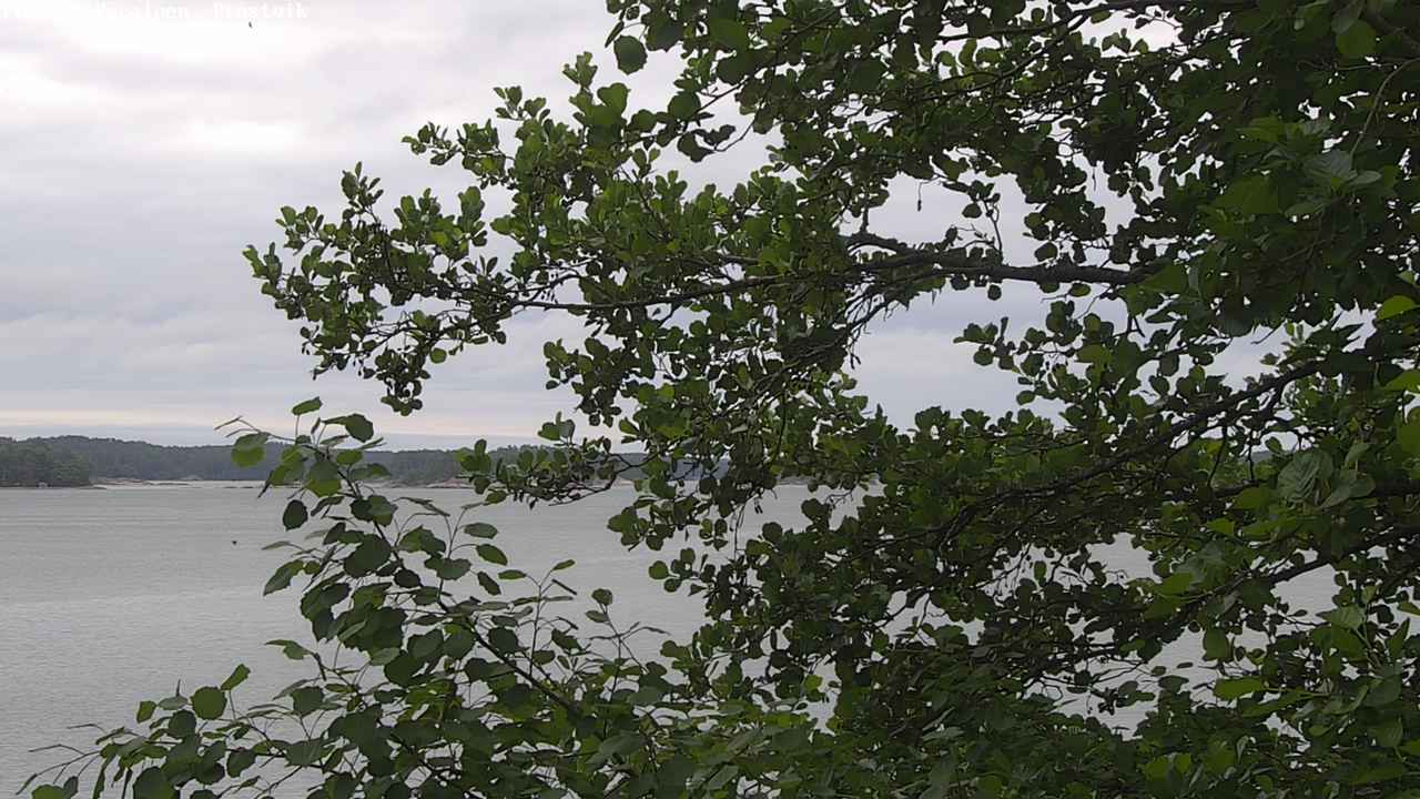 Kelikamerat Kuva Tie 180 Prostvik, Parainen, Varsinais-Suomi