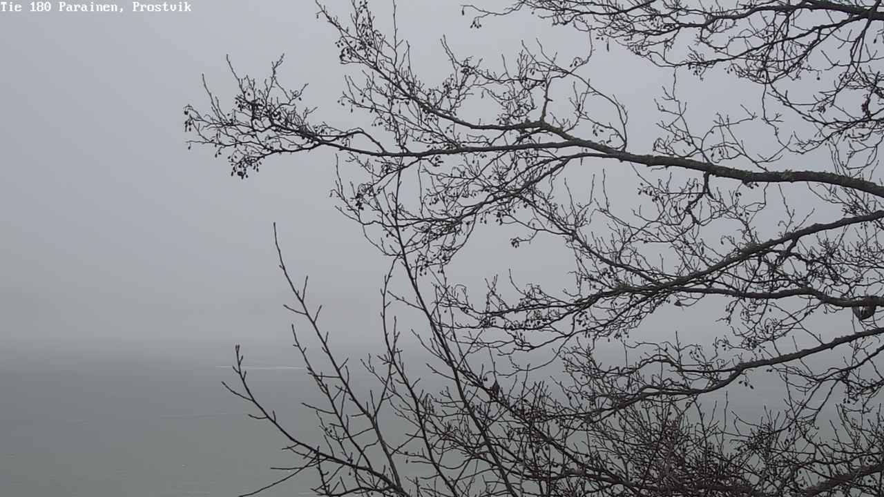 Kelikamerat Kuva Tie 180 Prostvik, Parainen, Varsinais-Suomi