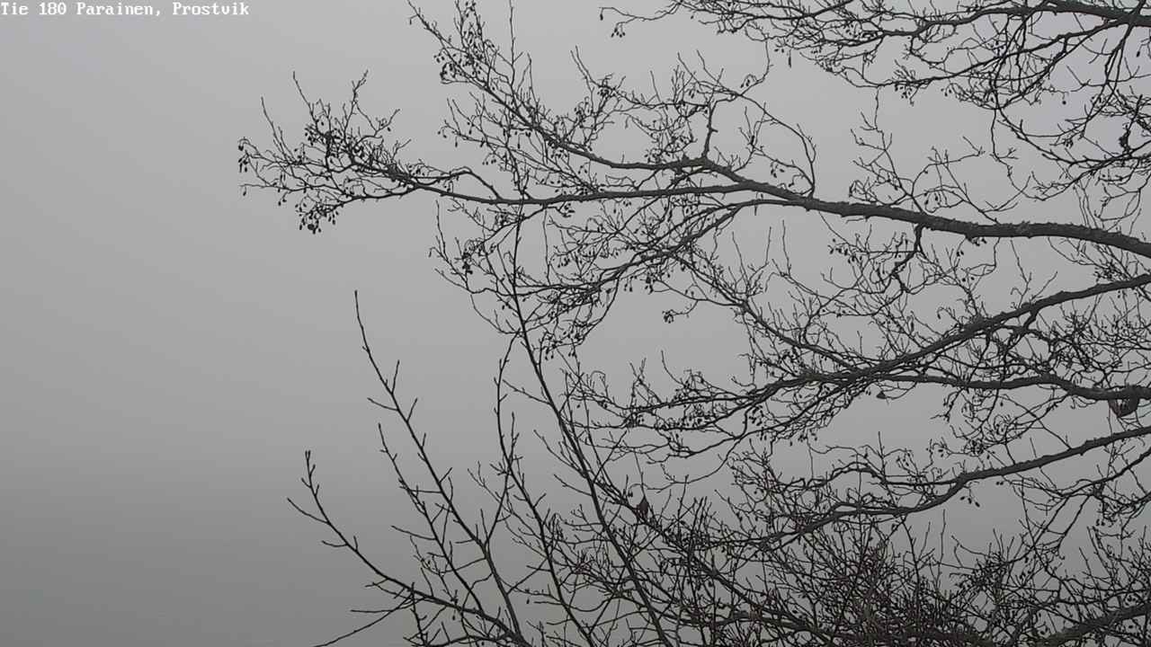 Kelikamerat Kuva Tie 180 Prostvik, Parainen, Varsinais-Suomi