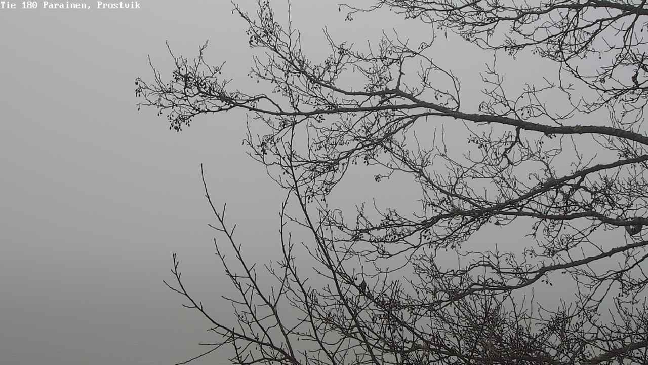 Kelikamerat Kuva Tie 180 Prostvik, Parainen, Varsinais-Suomi