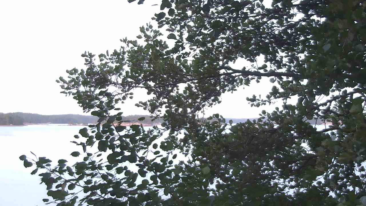 Weather Camera Image Väg 180 Prostvik, Parainen, Varsinais-Suomi