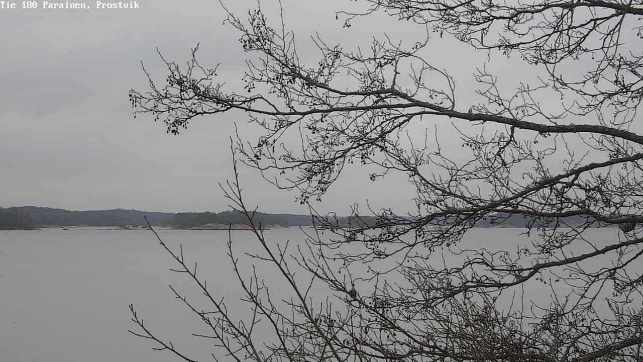 Weather Camera Image Road 180 Prostvik, Parainen, Varsinais-Suomi