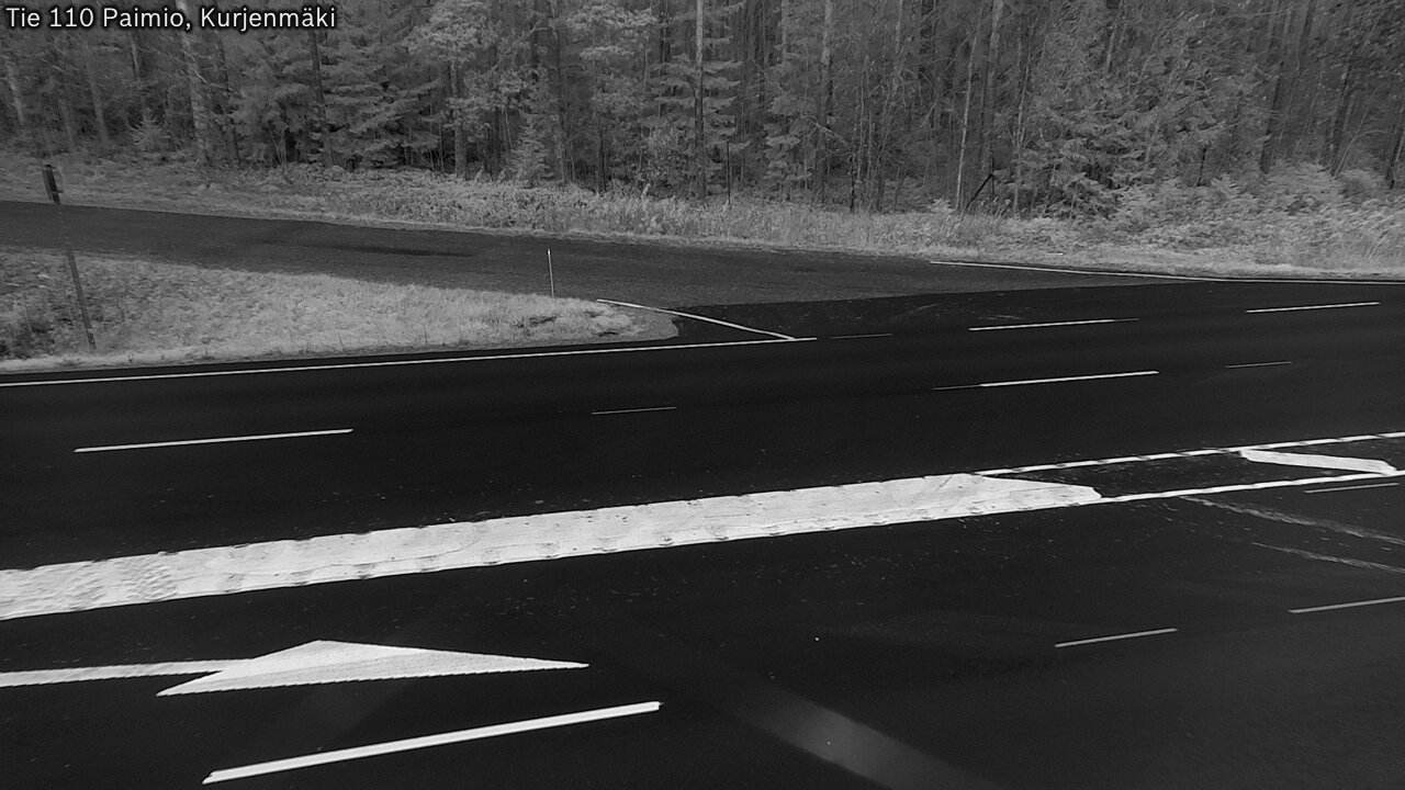 Kelikamerat Kuva Tie 110 Paimio, Kurjenmäki, Paimio, Varsinais-Suomi