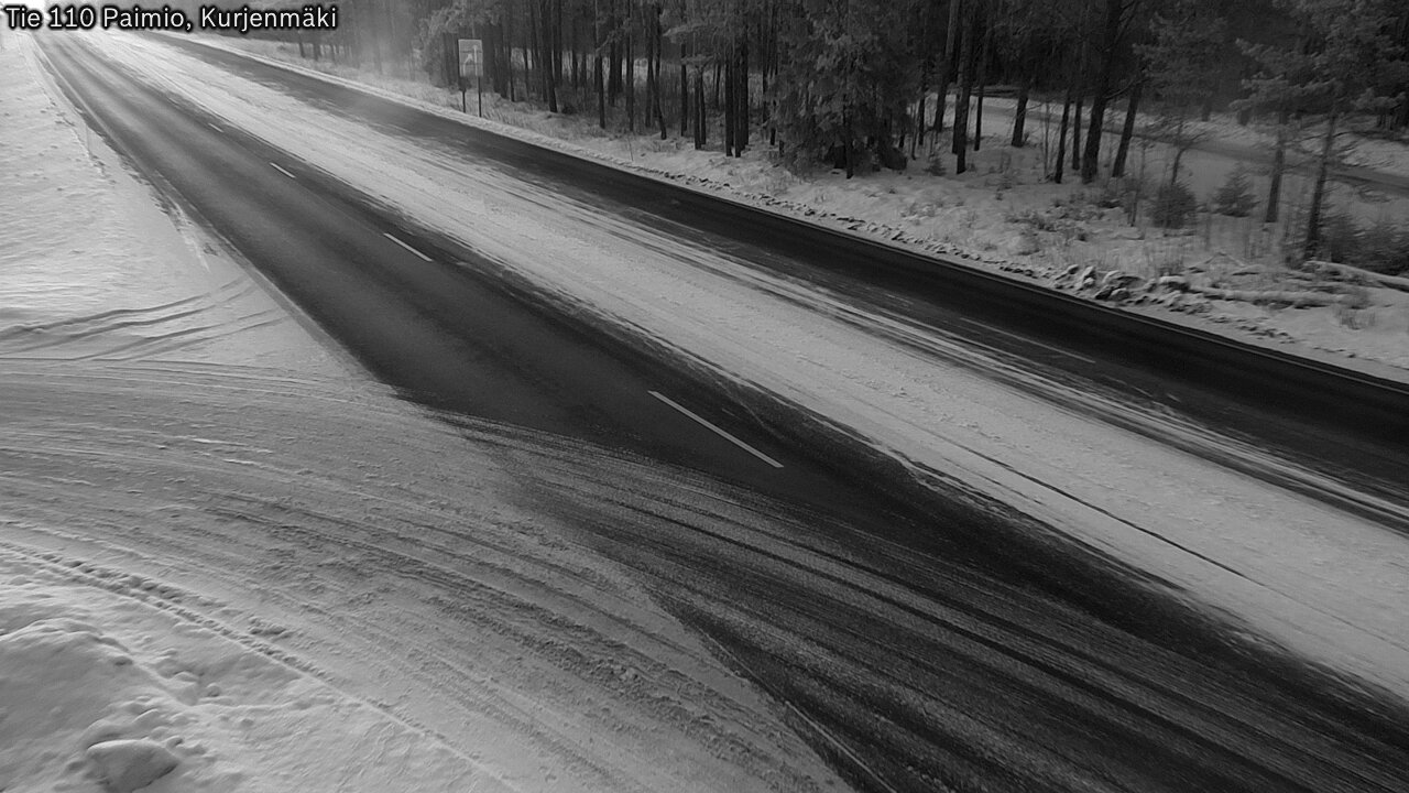 Kelikamerat Kuva Tie 110 Paimio, Kurjenmäki, Paimio, Varsinais-Suomi