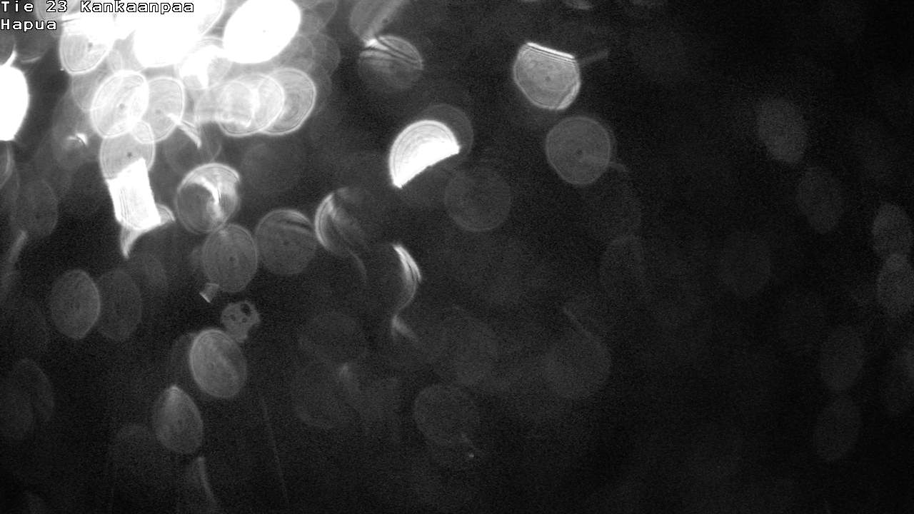 Weather Camera Image Road 23 Kankaanpää, Hapua, Kankaanpää, Satakunta