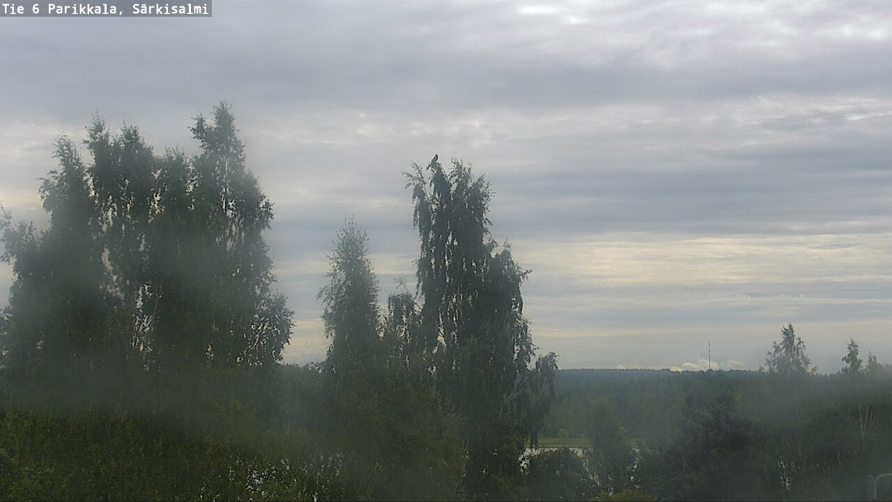 Weather Camera Image Road 6 Parikkala, Särkisalmi, Parikkala, Etelä-Karjala