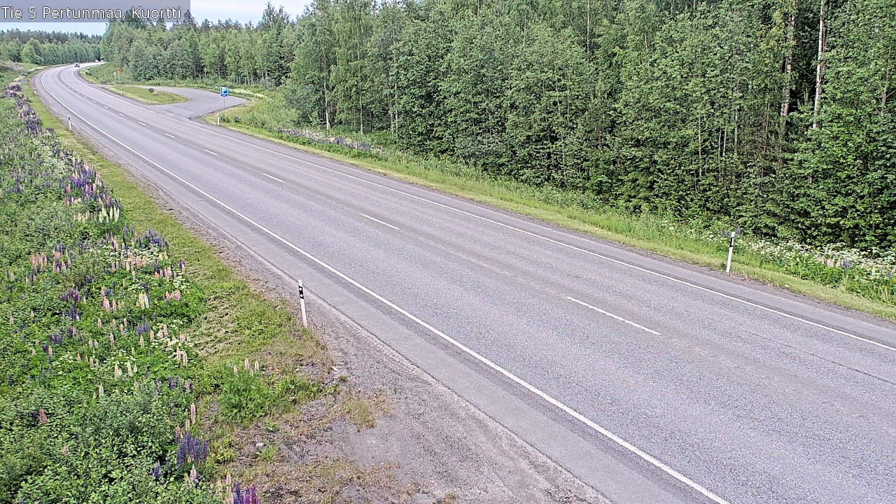 Kelikamerat Kuva Tie 5 Pertunmaa, Kuortti, Pertunmaa, Etelä-Savo