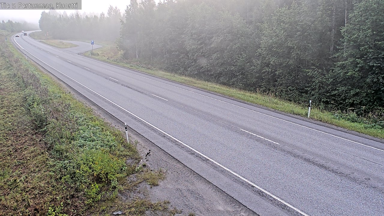 Weather Camera Image Road 5 Pertunmaa, Kuortti, Pertunmaa, Etelä-Savo