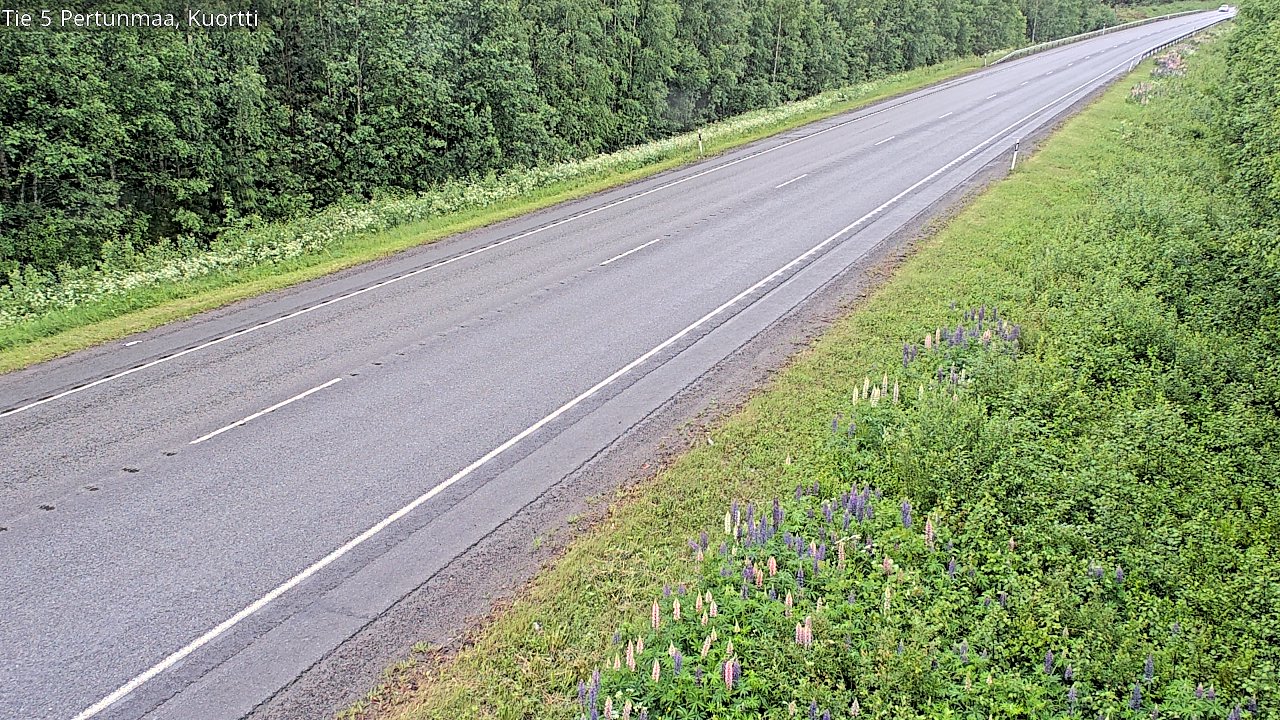 Kelikamerat Kuva Tie 5 Pertunmaa, Kuortti, Pertunmaa, Etelä-Savo