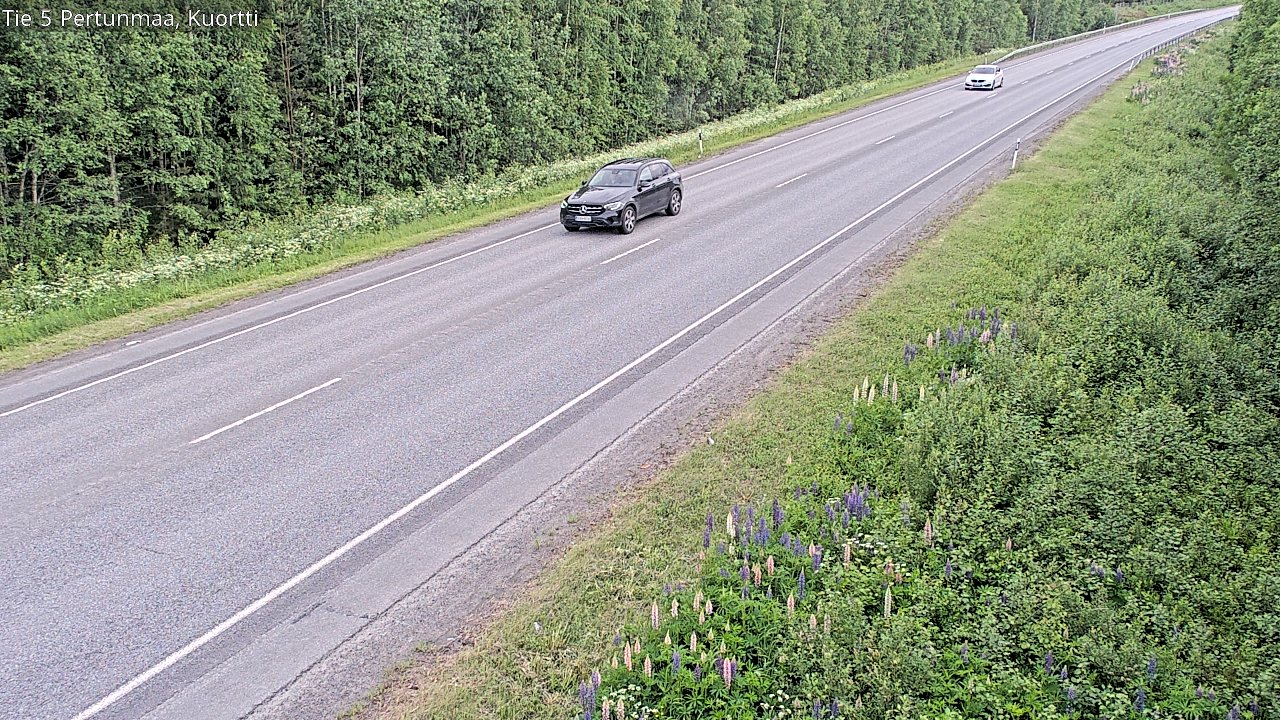 Kelikamerat Kuva Tie 5 Pertunmaa, Kuortti, Pertunmaa, Etelä-Savo