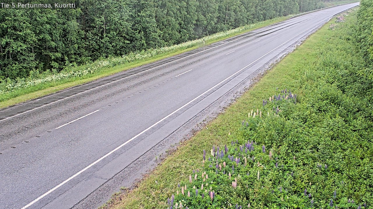 Kelikamerat Kuva Tie 5 Pertunmaa, Kuortti, Pertunmaa, Etelä-Savo