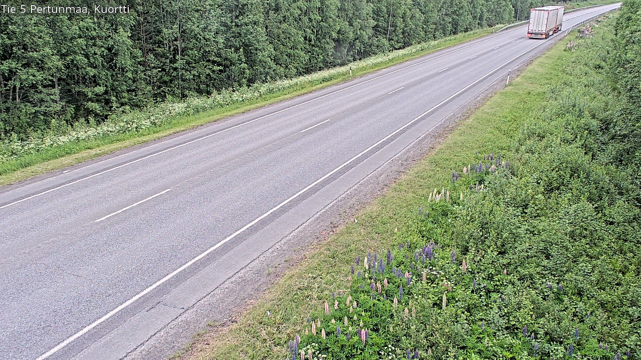 Kelikamerat Kuva Tie 5 Pertunmaa, Kuortti, Pertunmaa, Etelä-Savo