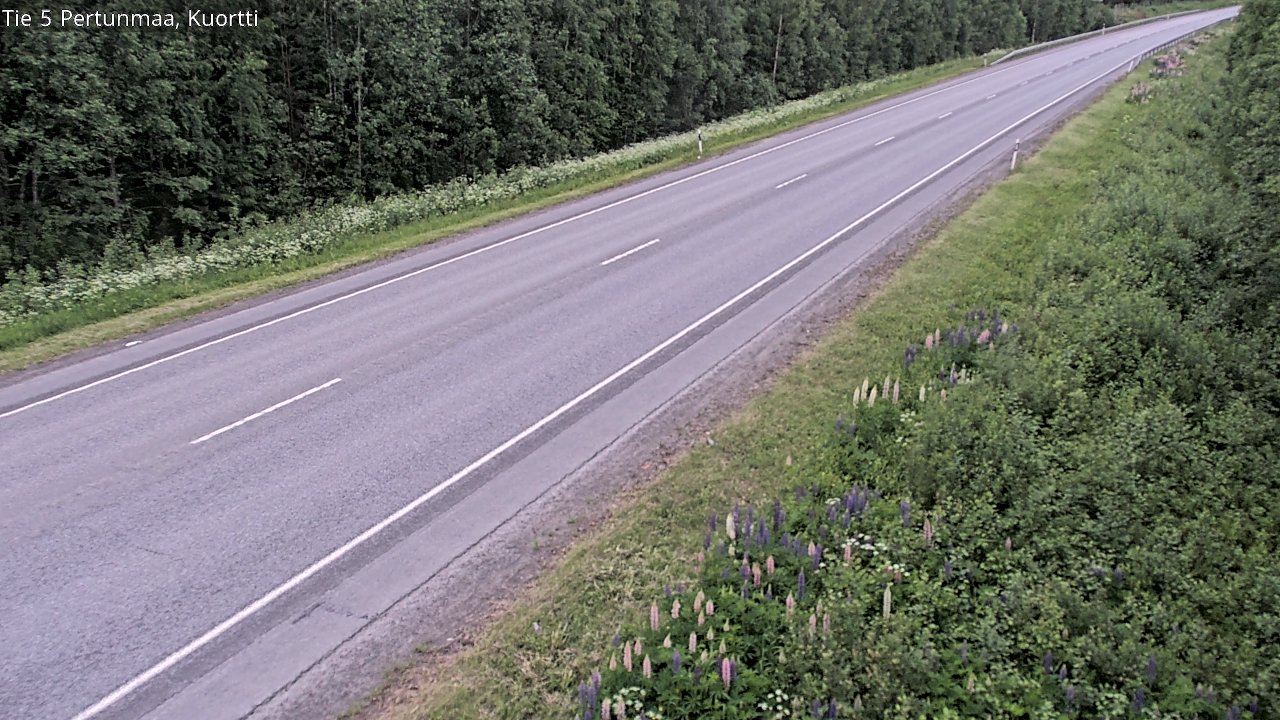 Kelikamerat Kuva Tie 5 Pertunmaa, Kuortti, Pertunmaa, Etelä-Savo
