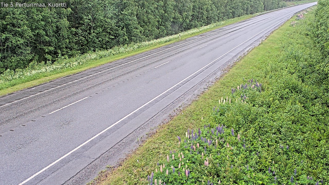 Kelikamerat Kuva Tie 5 Pertunmaa, Kuortti, Pertunmaa, Etelä-Savo