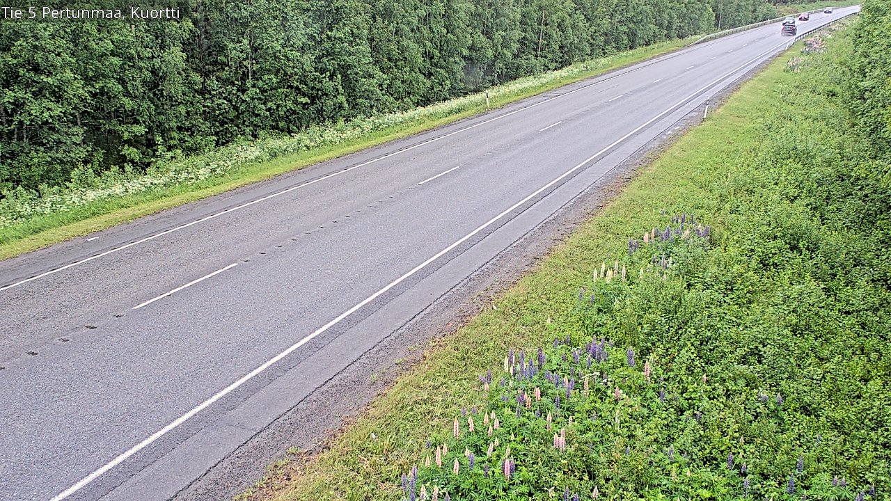 Kelikamerat Kuva Tie 5 Pertunmaa, Kuortti, Pertunmaa, Etelä-Savo