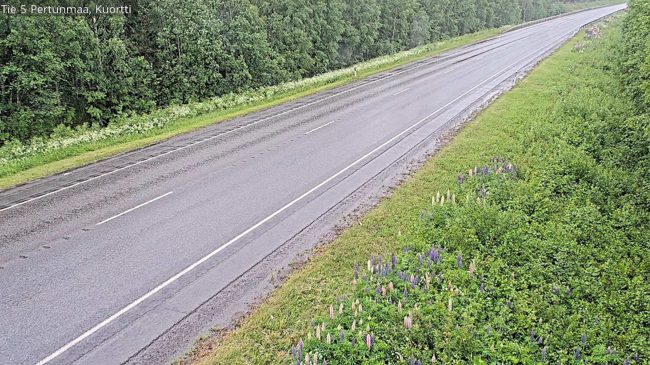 Kelikamerat Kuva Tie 5 Pertunmaa, Kuortti, Pertunmaa, Etelä-Savo