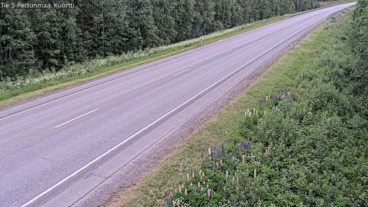 Kelikamerat Kuva Tie 5 Pertunmaa, Kuortti, Pertunmaa, Etelä-Savo