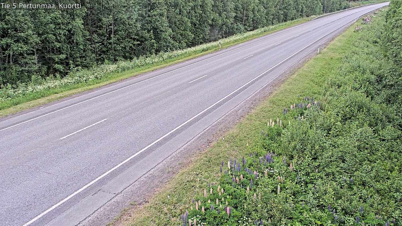 Kelikamerat Kuva Tie 5 Pertunmaa, Kuortti, Pertunmaa, Etelä-Savo