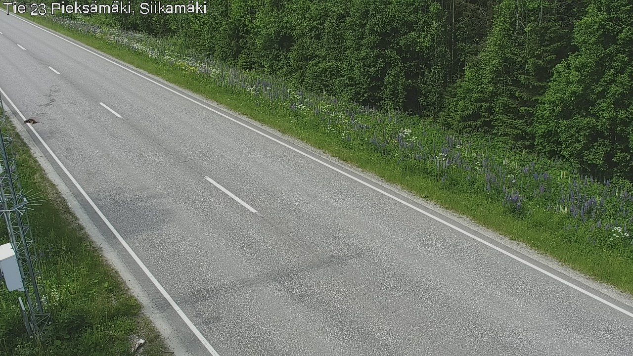Kelikamerat Kuva Tie 23 Pieksämäki, Siikamäki, Pieksämäki, Etelä-Savo