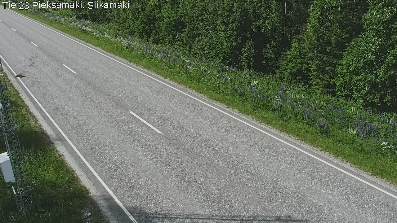 Kelikamerat Kuva Tie 23 Pieksämäki, Siikamäki, Pieksämäki, Etelä-Savo