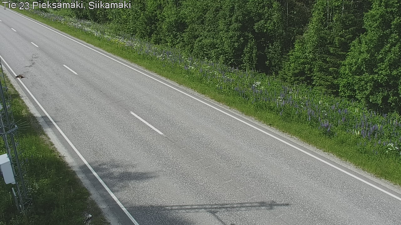 Kelikamerat Kuva Tie 23 Pieksämäki, Siikamäki, Pieksämäki, Etelä-Savo