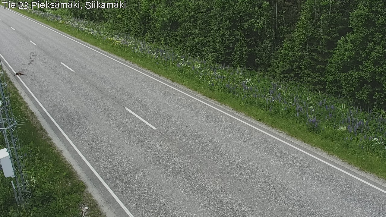 Kelikamerat Kuva Tie 23 Pieksämäki, Siikamäki, Pieksämäki, Etelä-Savo