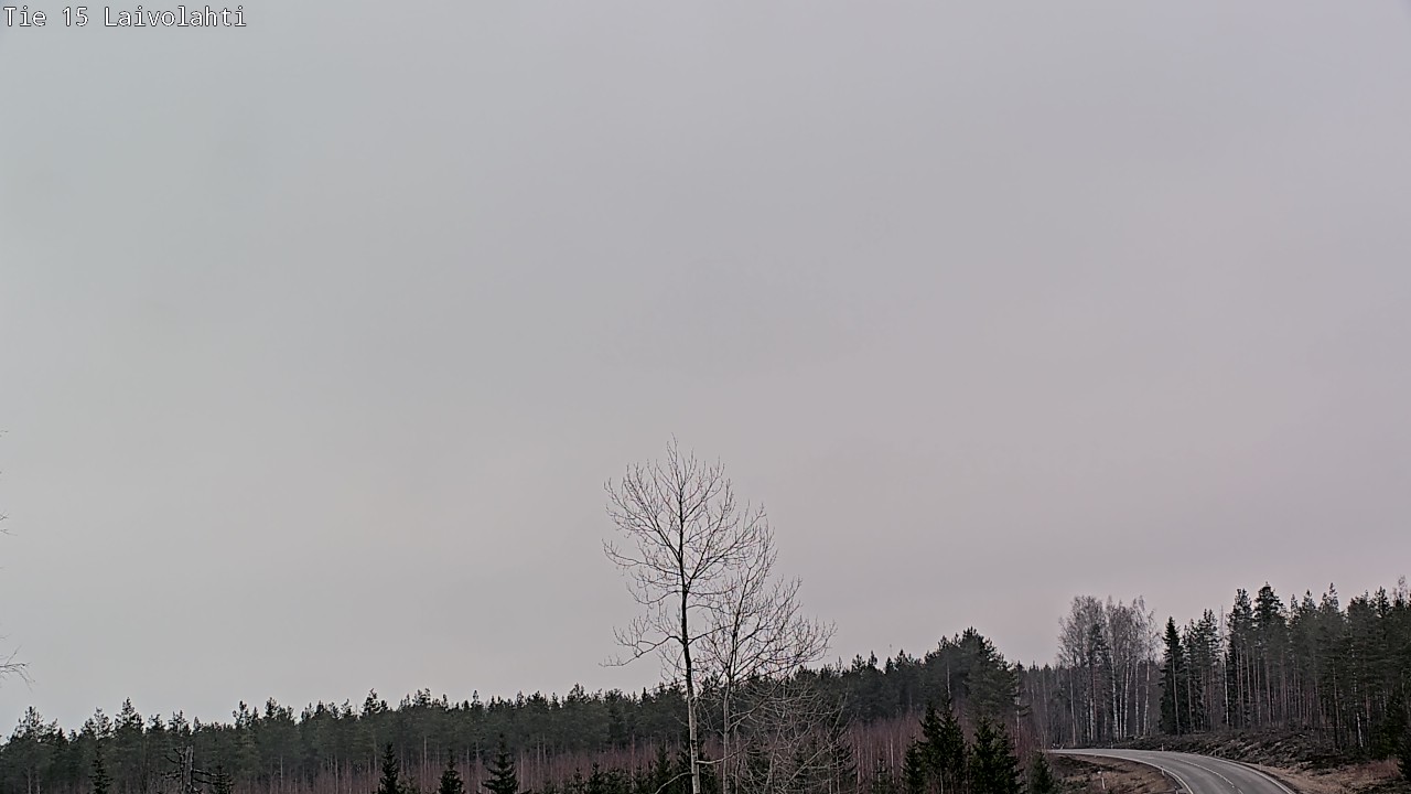 Weather Camera Image Road 15 Laivolahti, Mäntyharju, Etelä-Savo