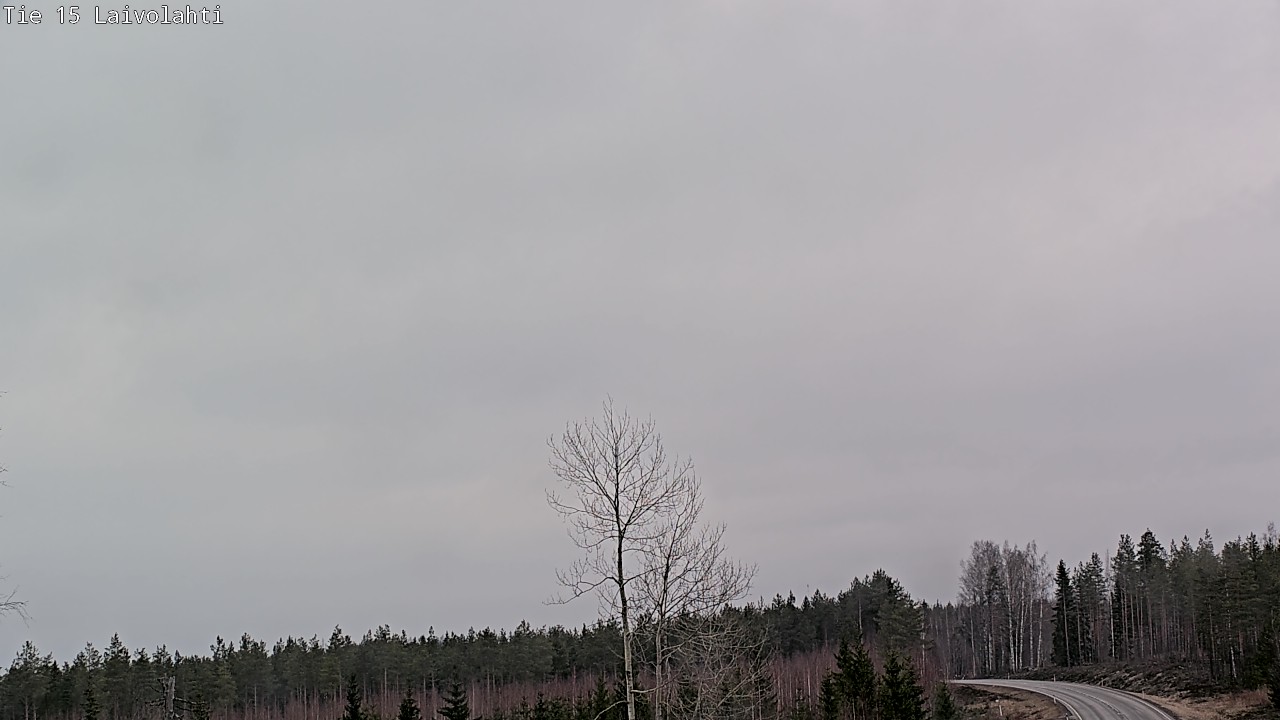 Weather Camera Image Väg 15 Laivolahti, Mäntyharju, Etelä-Savo