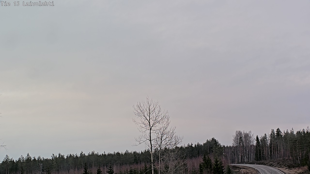 Weather Camera Image Road 15 Laivolahti, Mäntyharju, Etelä-Savo