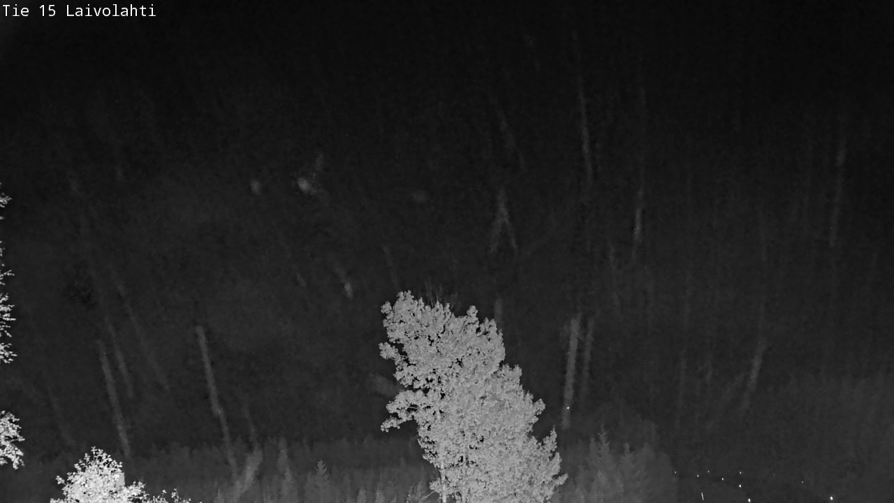Weather Camera Image Road 15 Laivolahti, Mäntyharju, Etelä-Savo