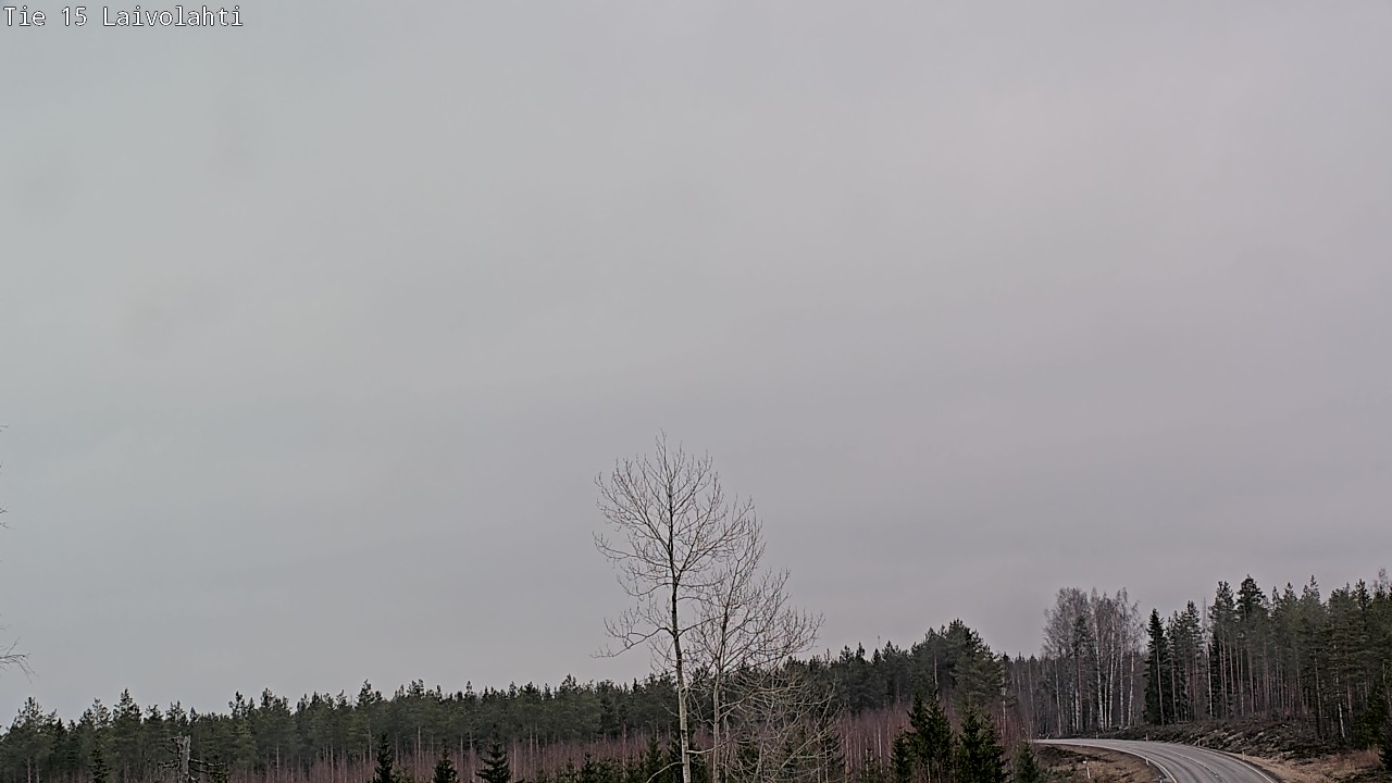 Weather Camera Image Väg 15 Laivolahti, Mäntyharju, Etelä-Savo