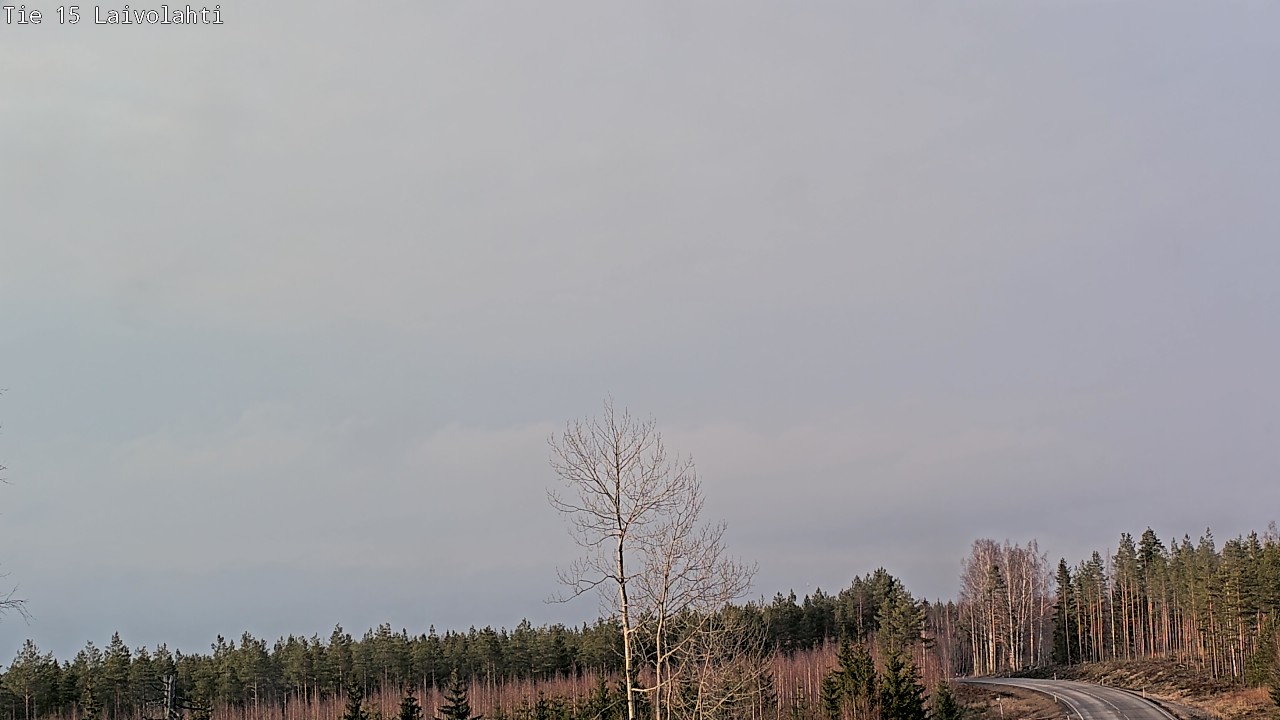 Weather Camera Image Road 15 Laivolahti, Mäntyharju, Etelä-Savo