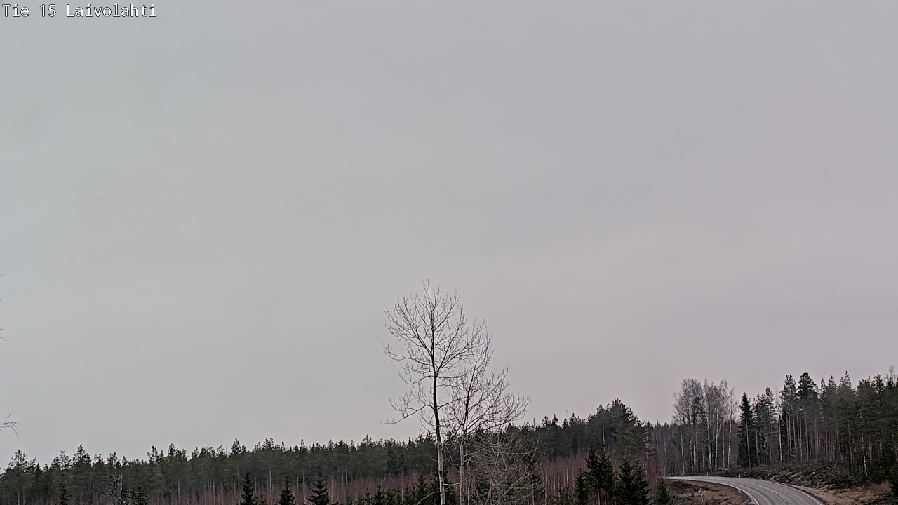 Weather Camera Image Väg 15 Laivolahti, Mäntyharju, Etelä-Savo