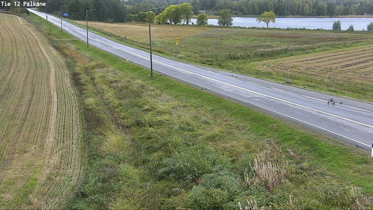 Weather Camera Image Väg 12 Pälkäne, Pälkäne, Pirkanmaa