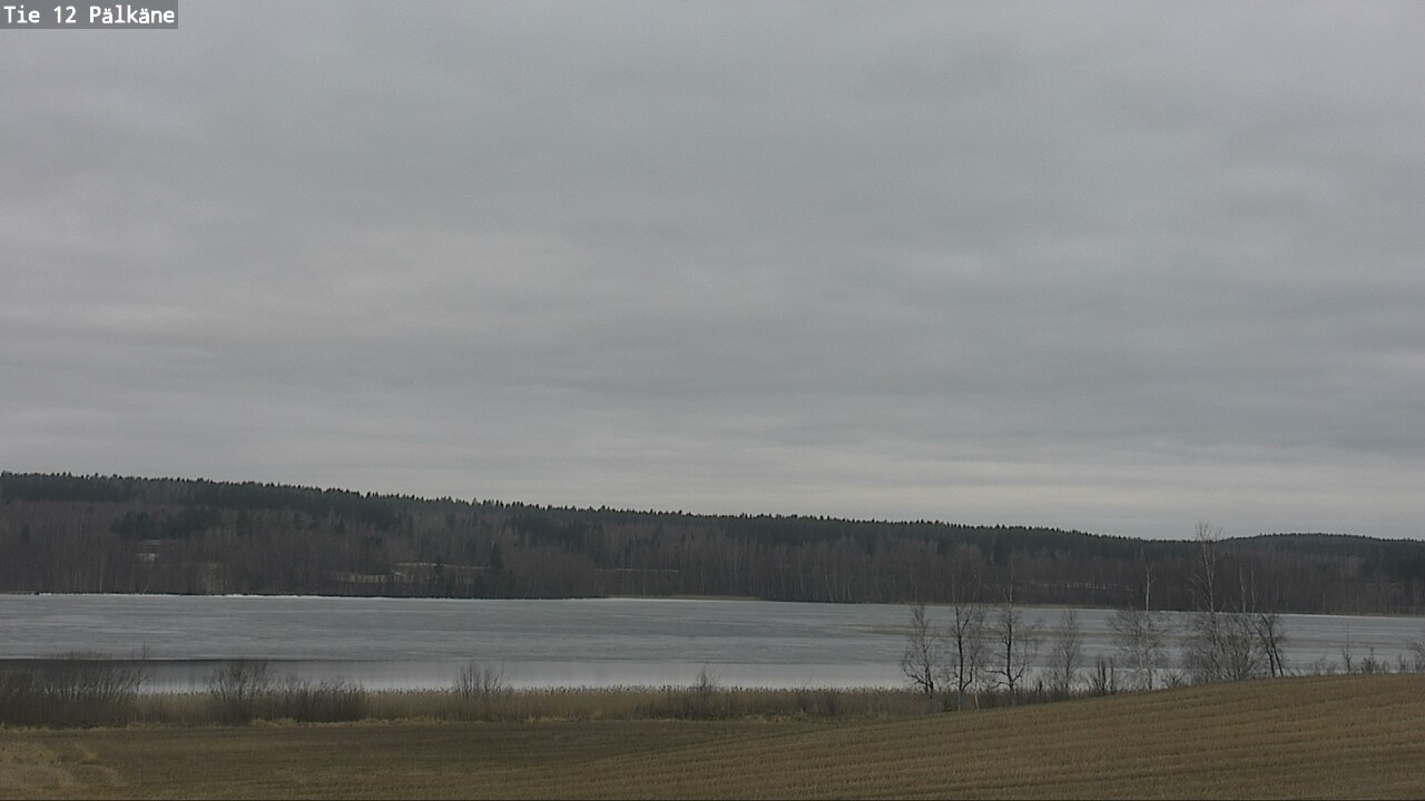 Kelikamerat Kuva Tie 12 Pälkäne, Pälkäne, Pirkanmaa