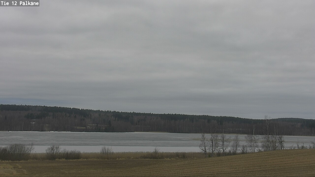 Kelikamerat Kuva Tie 12 Pälkäne, Pälkäne, Pirkanmaa