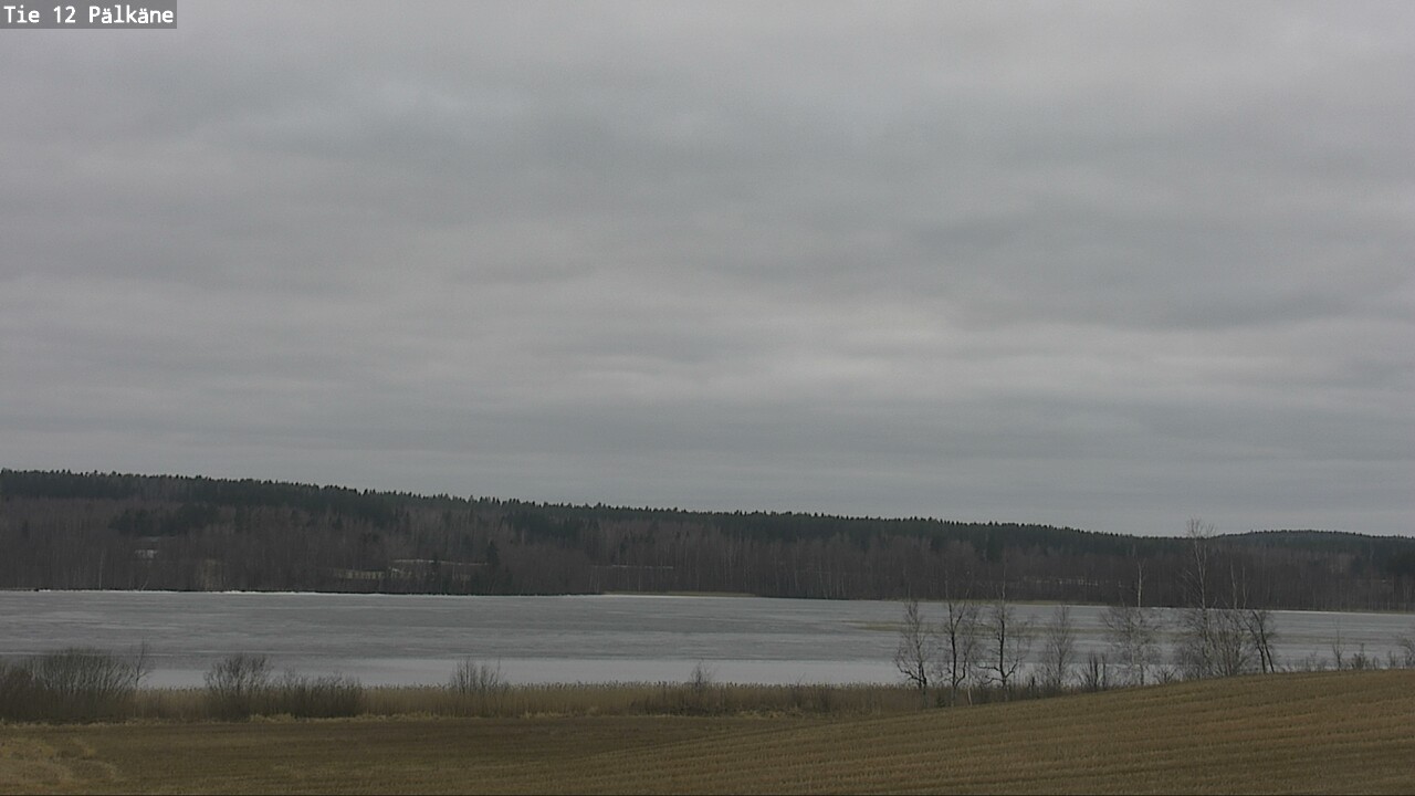 Kelikamerat Kuva Tie 12 Pälkäne, Pälkäne, Pirkanmaa