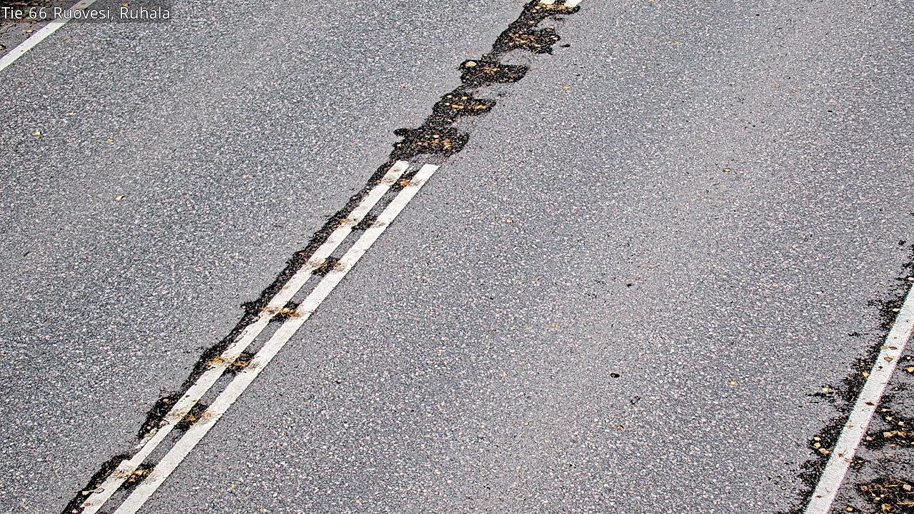 Kelikamerat Kuva Tie 66 Ruovesi, Ruhala, Ruovesi, Pirkanmaa