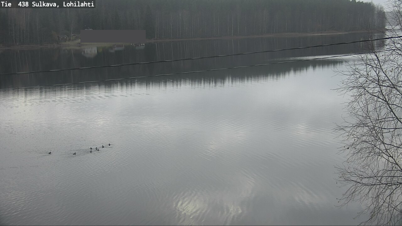 Kelikamerat Kuva Tie 438 Sulkava, Lohilahti, Sulkava, Etelä-Savo