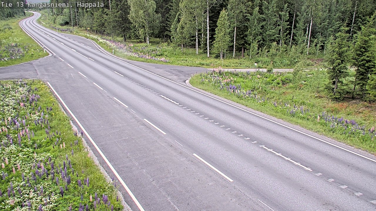 Kelikamerat Kuva Tie 13 Kangasniemi, Häppälä, Kangasniemi, Etelä-Savo