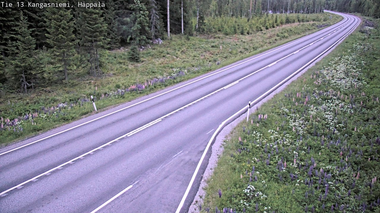 Kelikamerat Kuva Tie 13 Kangasniemi, Häppälä, Kangasniemi, Etelä-Savo