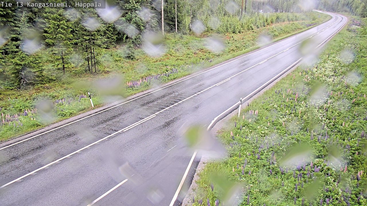 Weather Camera Image Väg 13 Kangasniemi, Häppälä, Kangasniemi, Etelä-Savo
